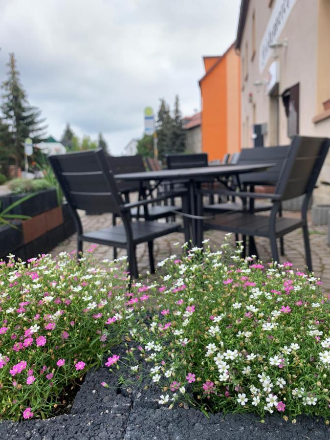 Divino Pension Zorbau Apartment Lutzen ภายนอก รูปภาพ